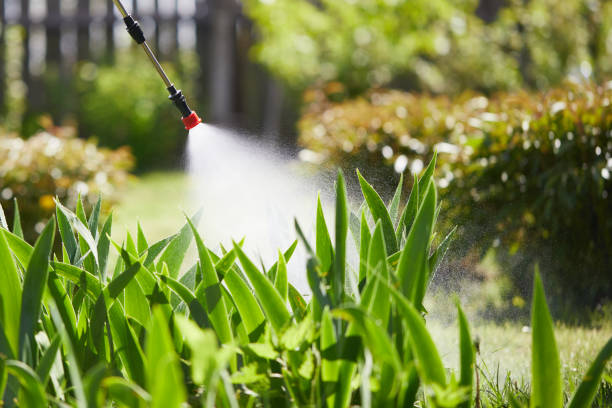 24/7 Emergency Wasp Removal experts in Seagraves, TX