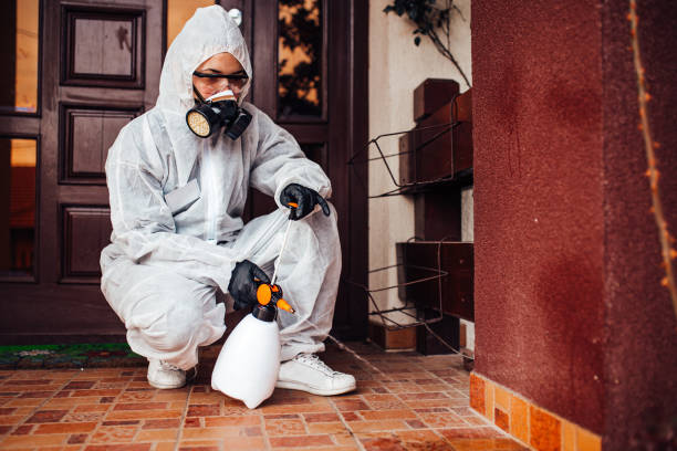 Reliable Wasp Removal contractor in Seagraves, TX by Show Me Pest Control
